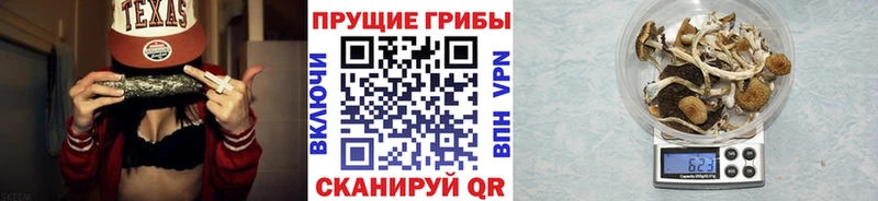 продажа наркотиков  Нахабино  Псилоцибиновые грибы мухоморы 