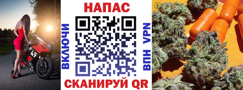 Каннабис план цены наркотик Нахабино